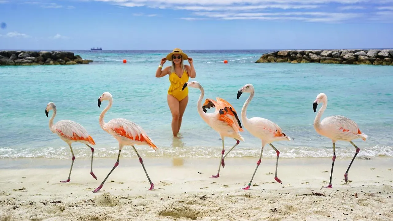 Holiday home Moko 119 Villa Noord Aruba